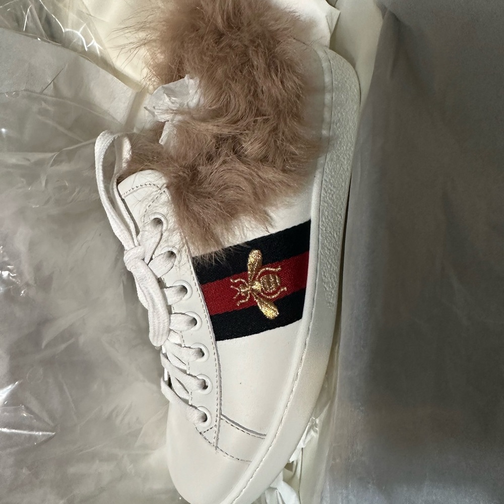 Gucci sneakers